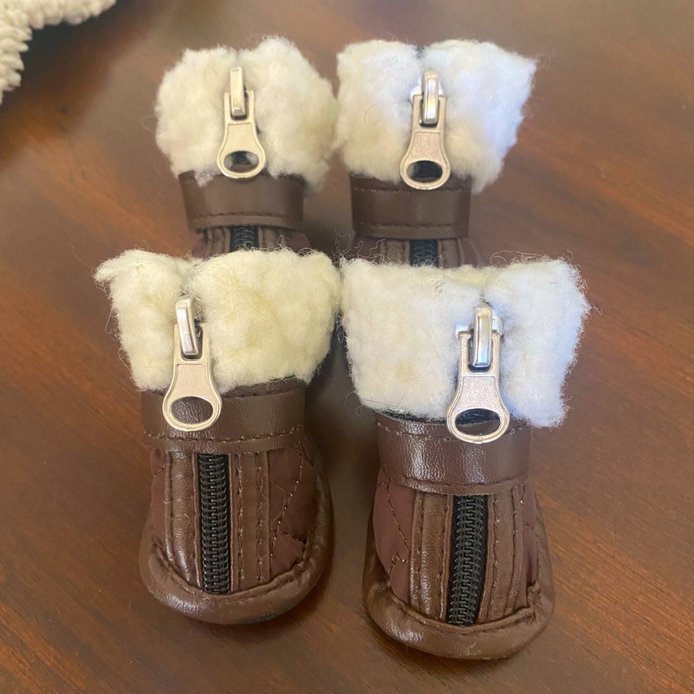 Doggie Shoes